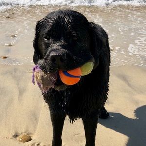 Meet your Posher, Tim